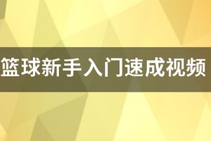 小学篮球初步训练视频讲解